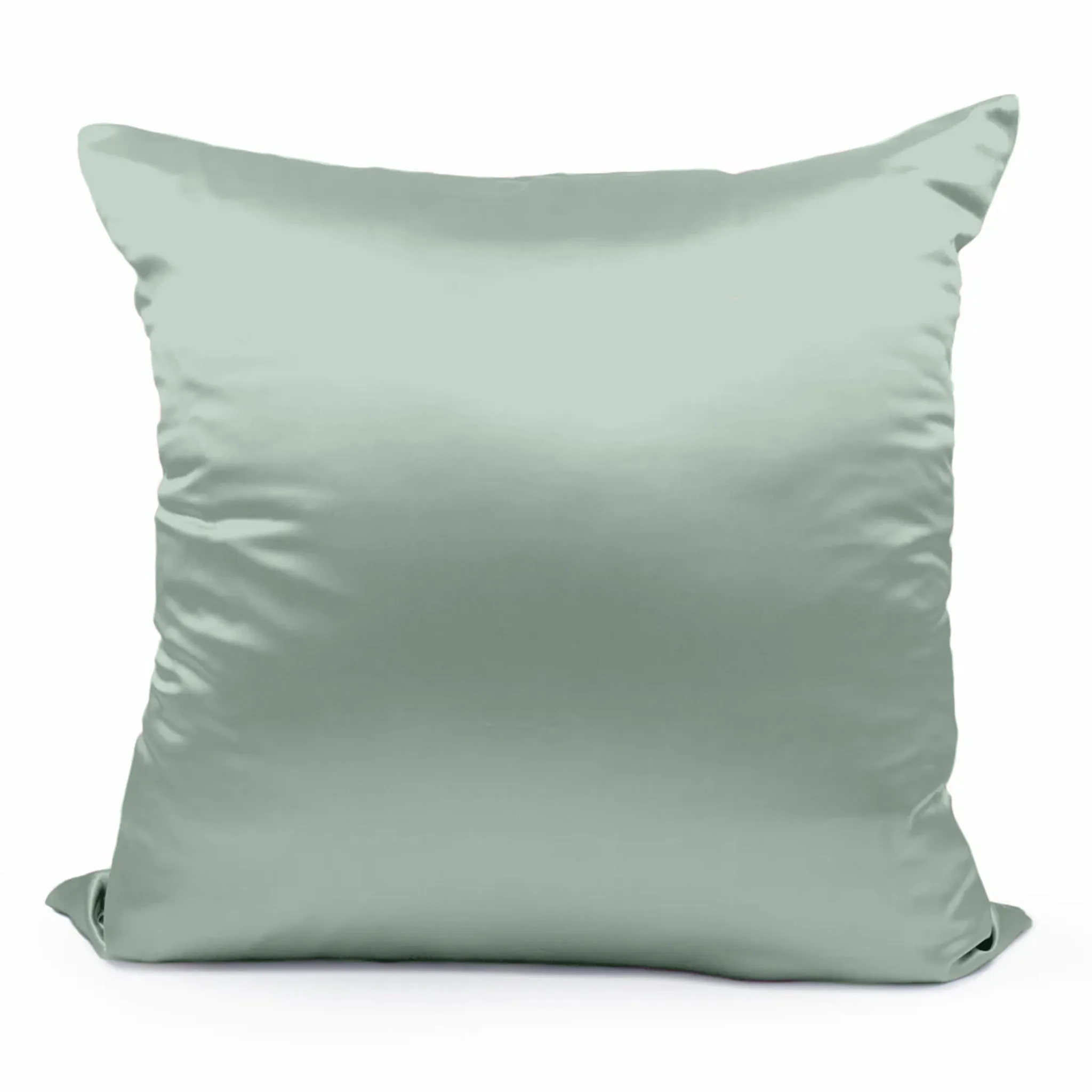 22 Momme Silk Euro Sham - Sage