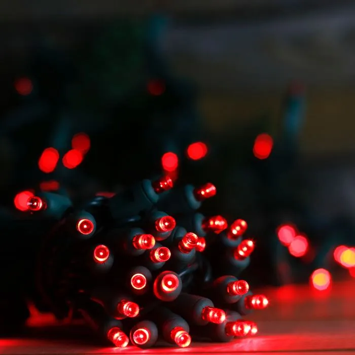 50-light  5mm Red LED Christmas Lights, 4" Spacing Green Wire