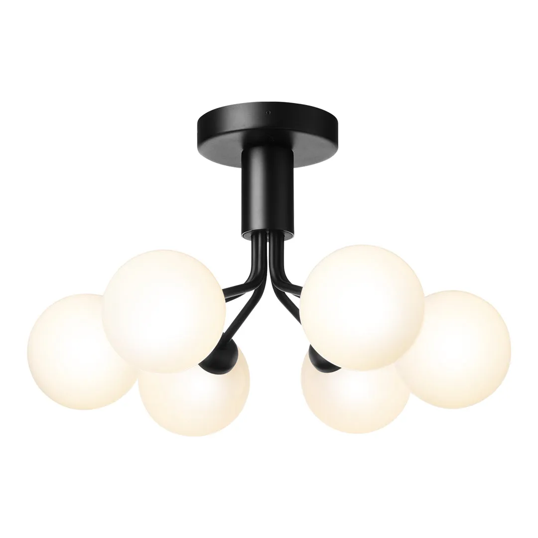 Apiales 6 Ceiling Fixture