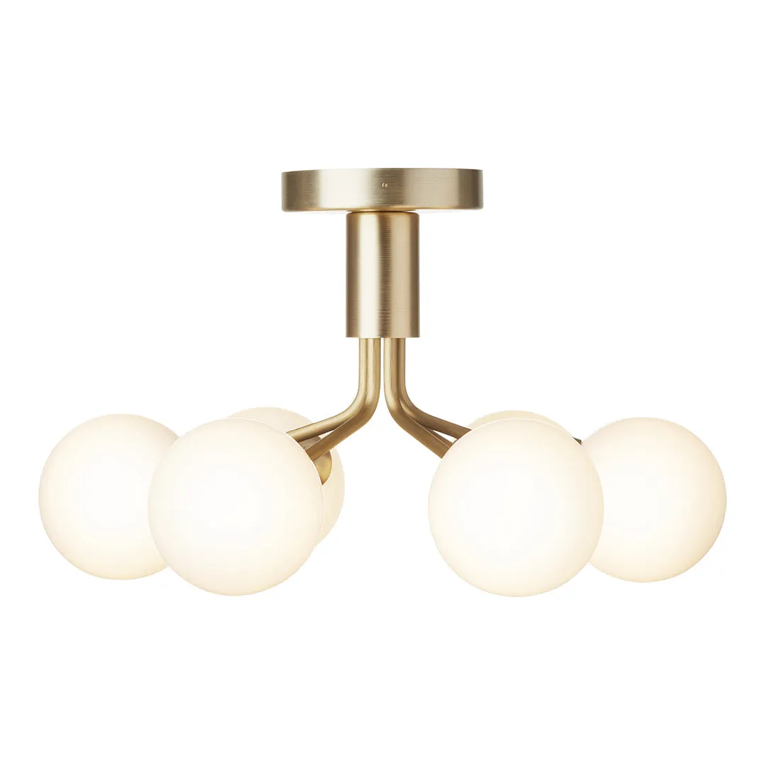 Apiales 6 Ceiling Fixture