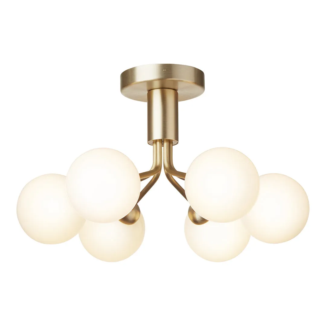 Apiales 6 Ceiling Fixture