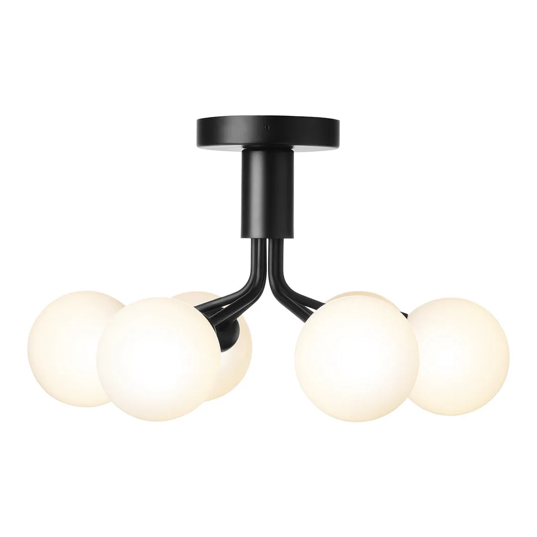 Apiales 6 Ceiling Fixture