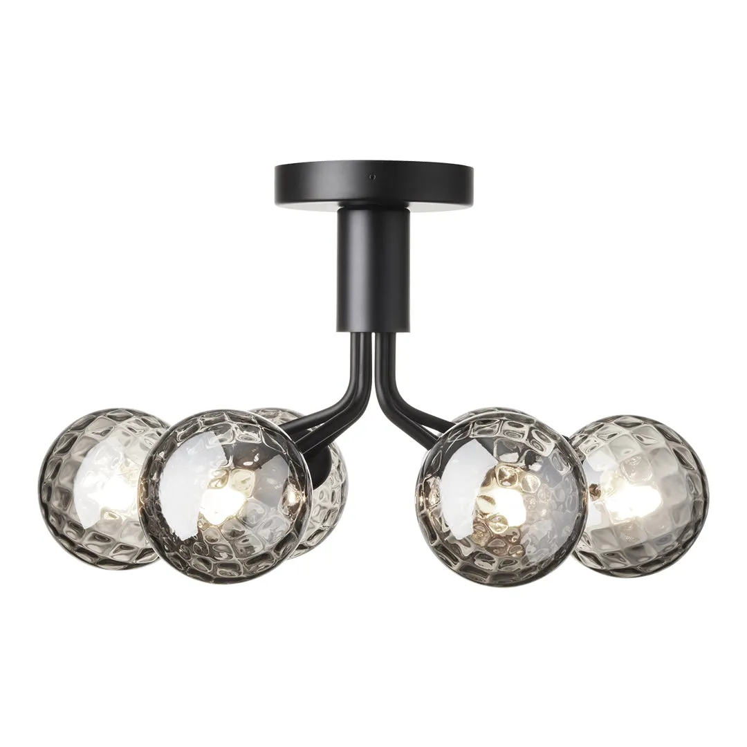 Apiales 6 Ceiling Fixture