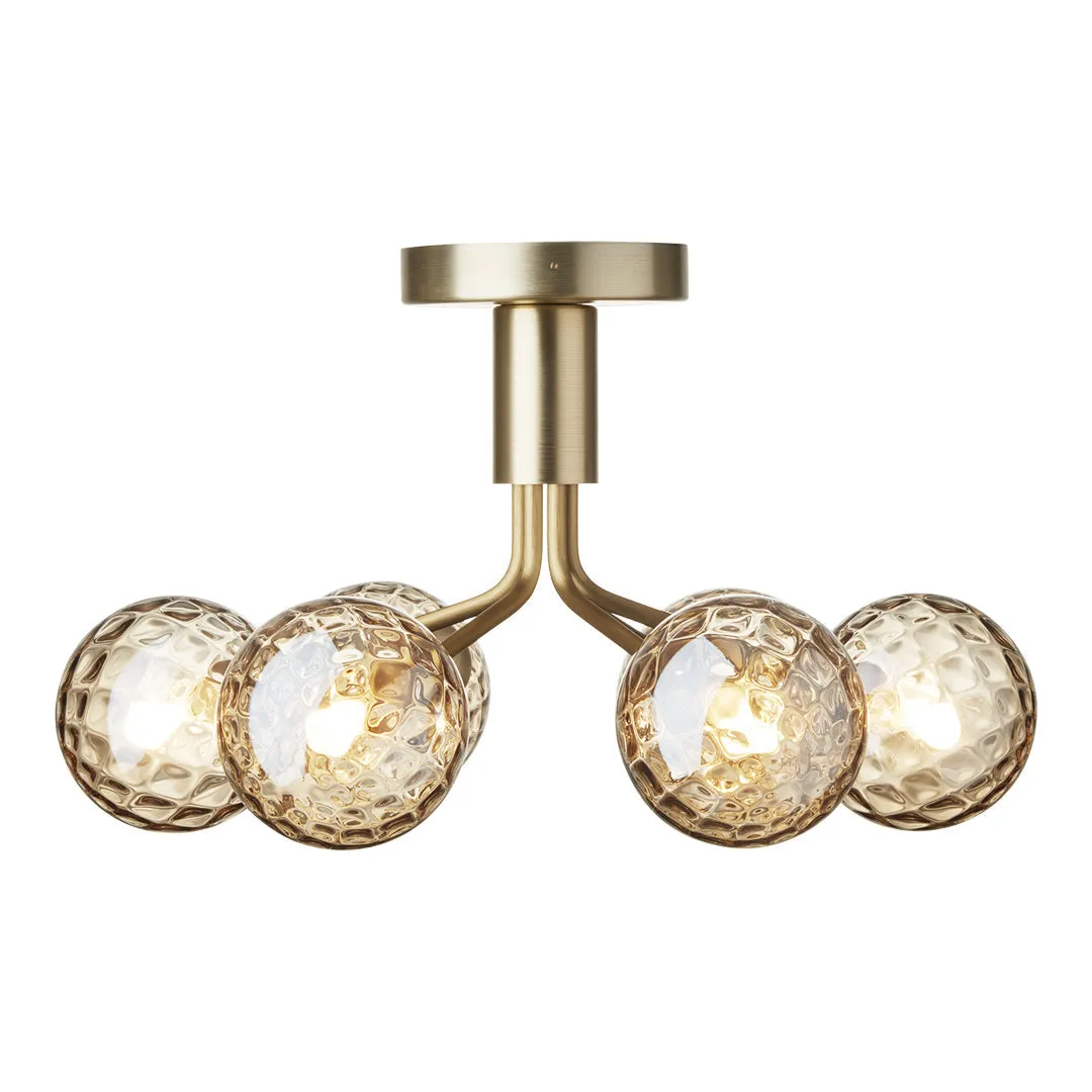 Apiales 6 Ceiling Fixture