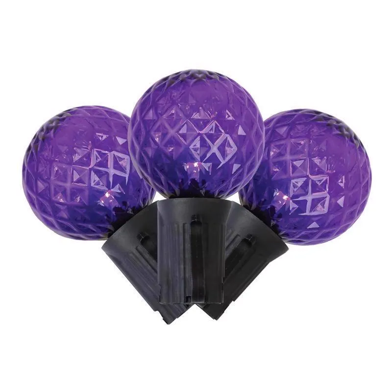 Celebrations Purple 25 ct LED G40 Halloween String Lights