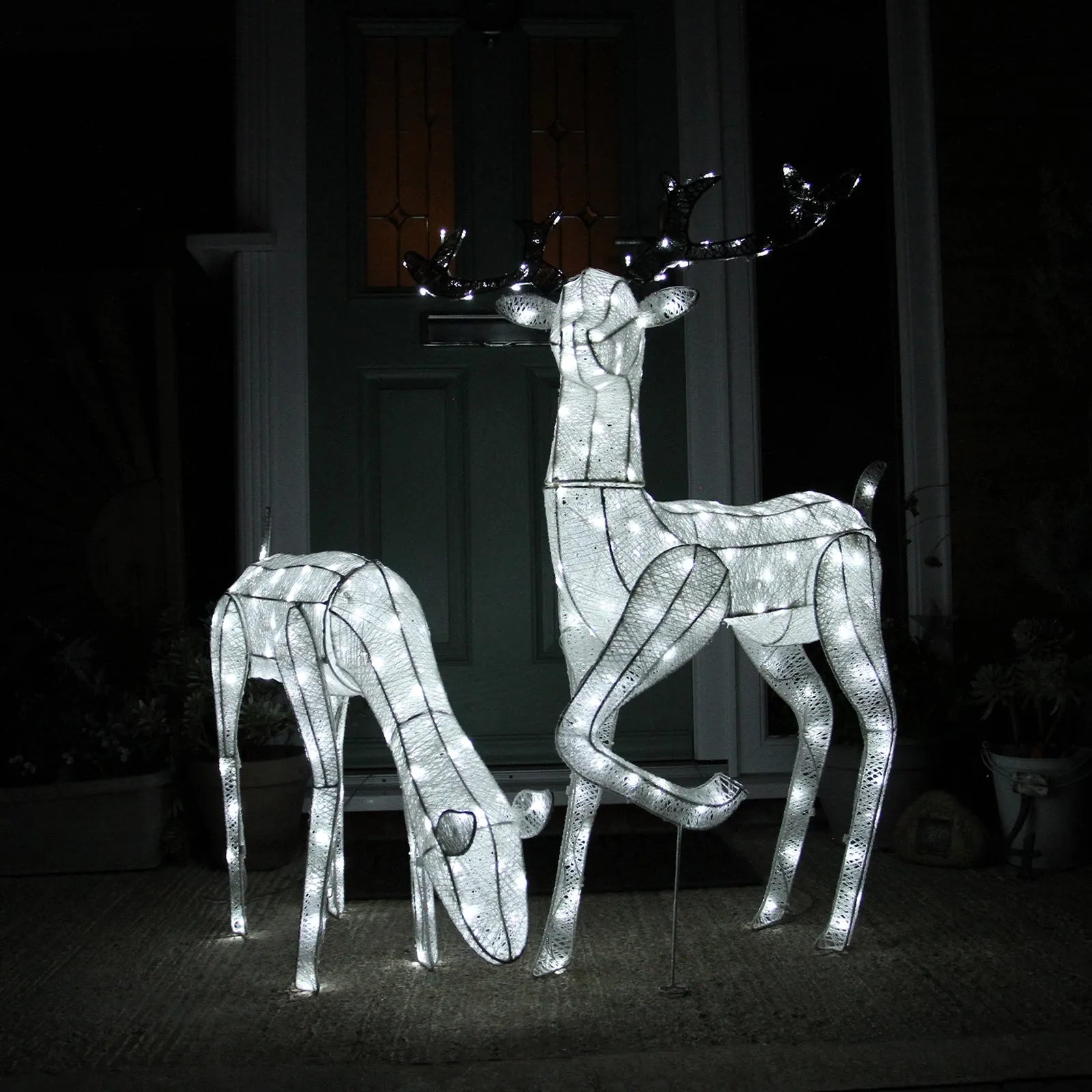 Christmas Large Light Up Stag & Doe Reindeer Set