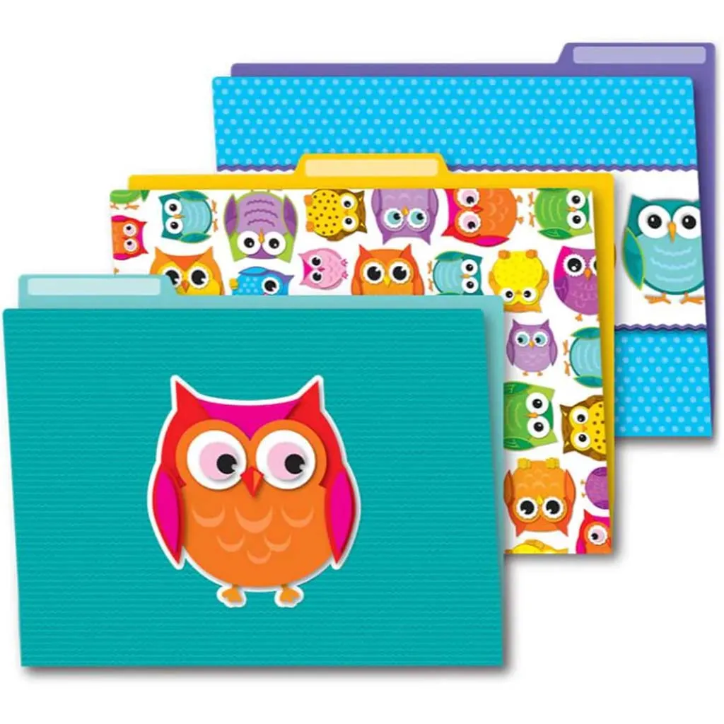 Colorful Owls File Folders