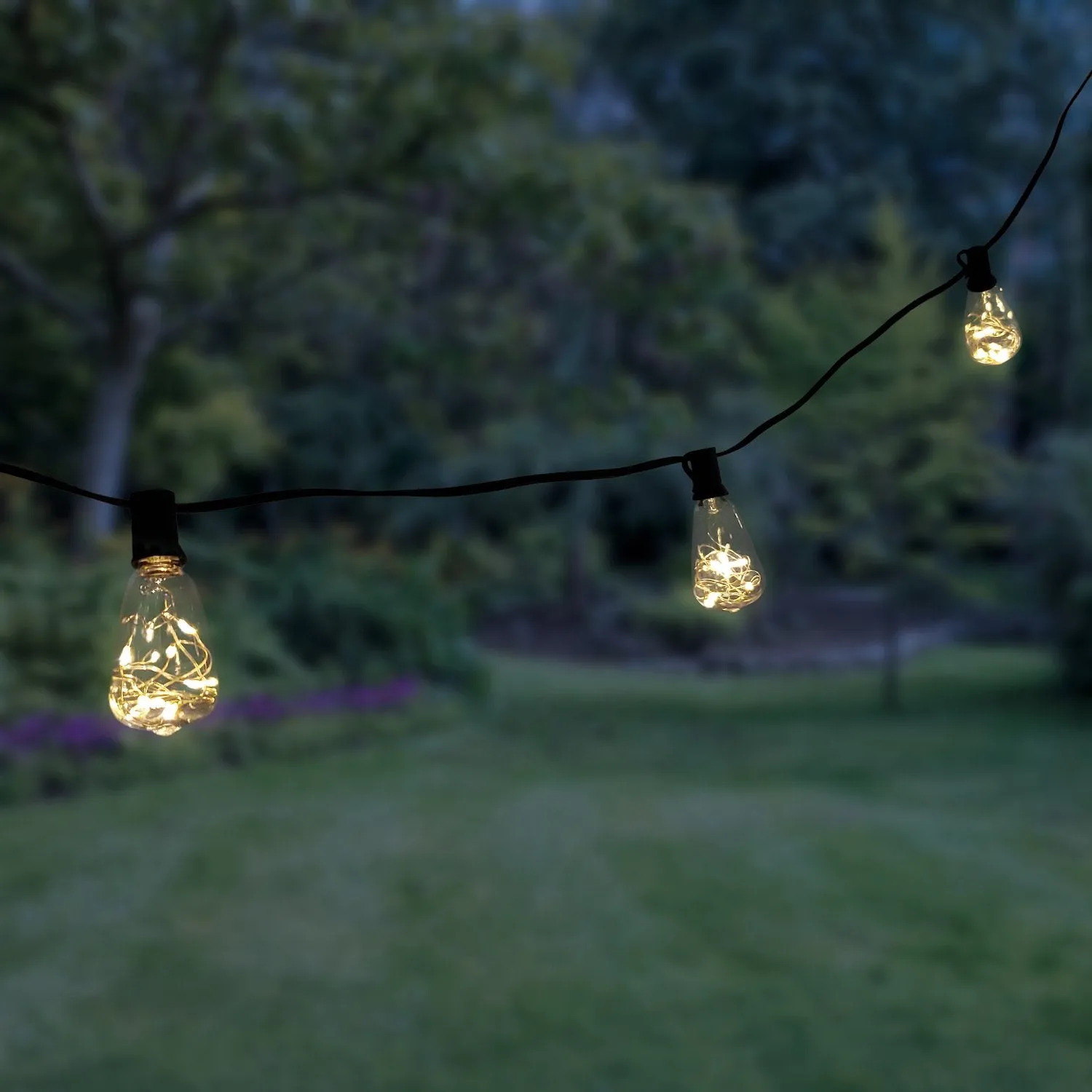 Electric String Lights with Soft White Fairy Lights