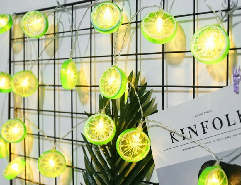 Fairy Lemon String Lights USB Powered Warm Light for Holiday Party Room Curtain Garden Decoration