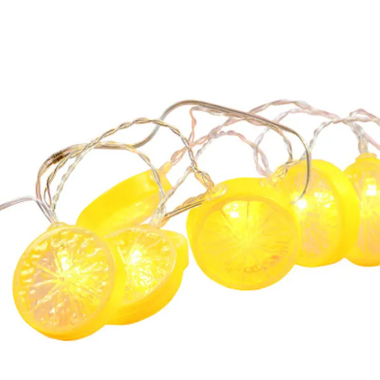 Fairy Lemon String Lights USB Powered Warm Light for Holiday Party Room Curtain Garden Decoration