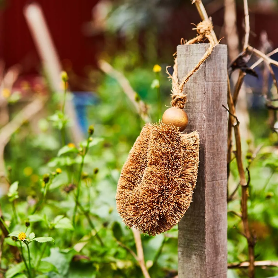 Gardener’s Brush