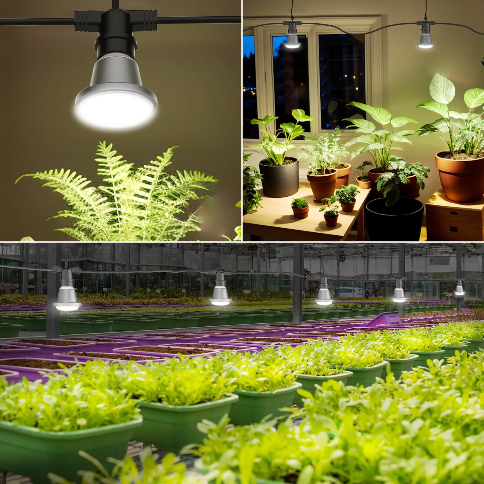 Hanging Grow Light String(US ONLY)