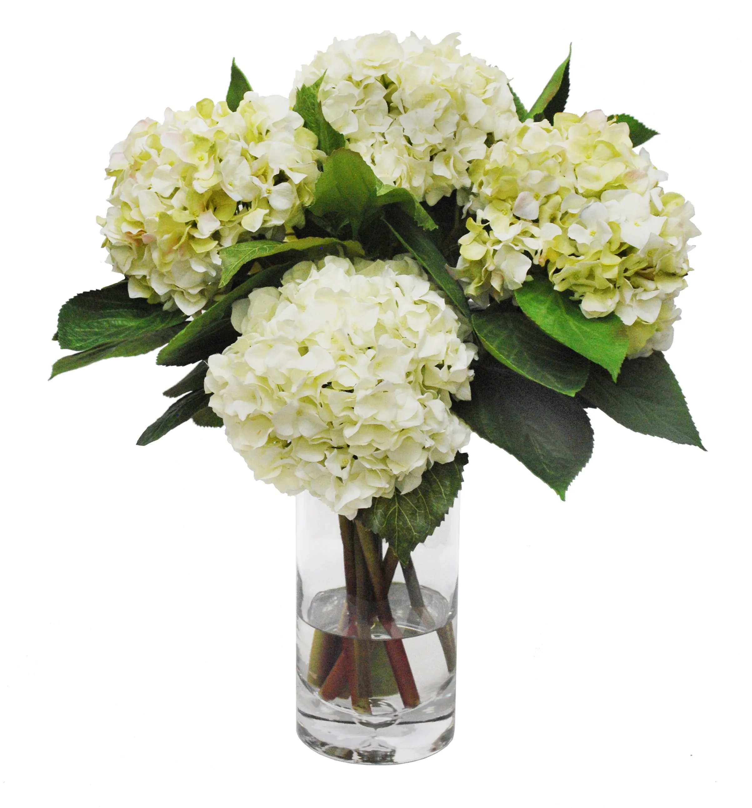 Hydrangea in Glass Vase 20"