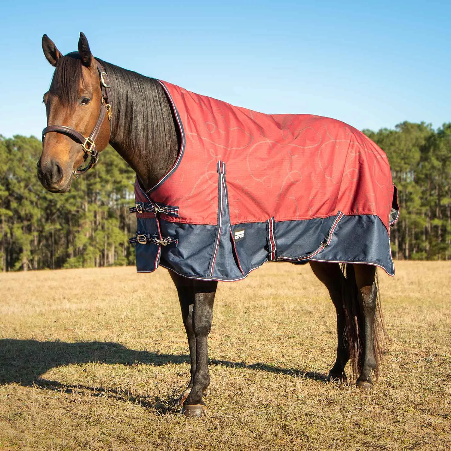 Jeffers Poplar Head Uniquely English 1200 Denier Turnout Blanket with High Neck, 240 Gram, Merlot Snaffles & Irons