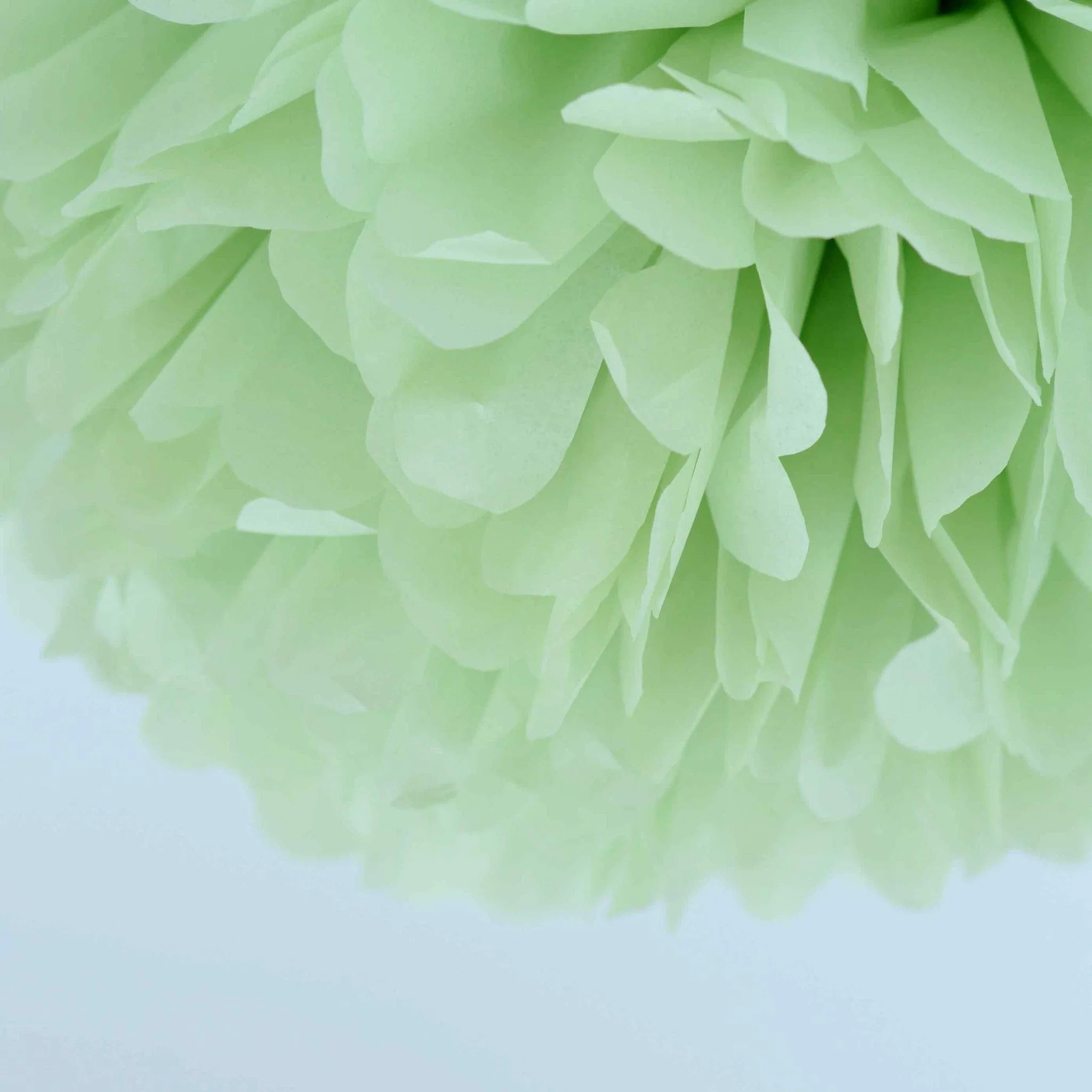 Large Light green green tissue paper pom pom