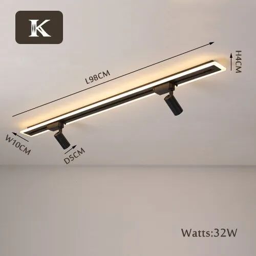 LED Chandelier with Track Ceiling Light