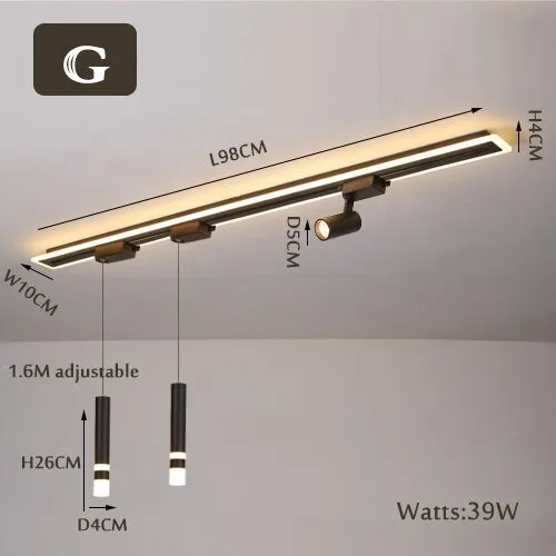 LED Chandelier with Track Ceiling Light