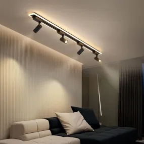 LED Chandelier with Track Ceiling Light