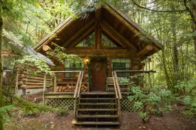 Mount Rainier Retreat - Classic - Tahoma