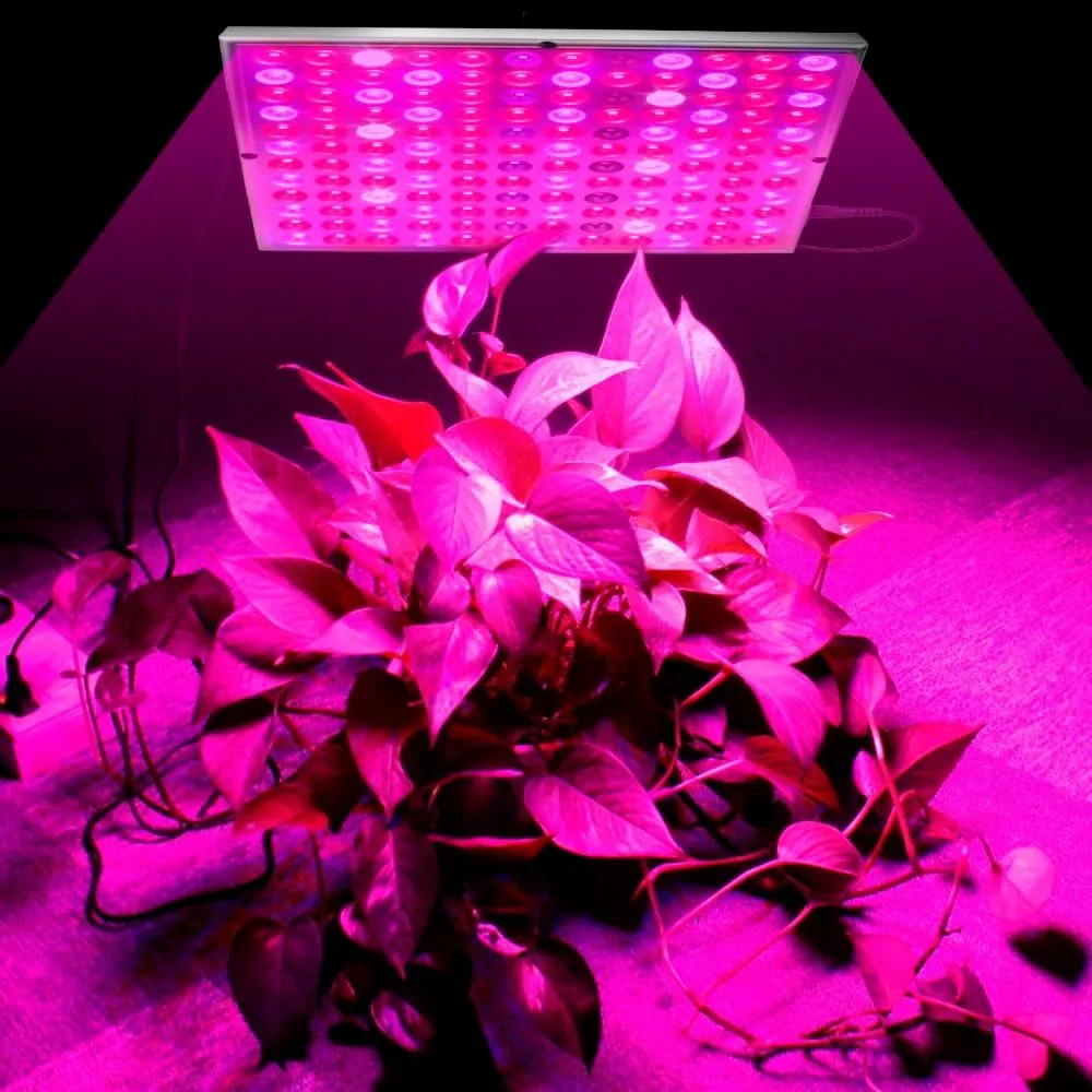 Plant LED Grow Lights Full Spectrum Indoor