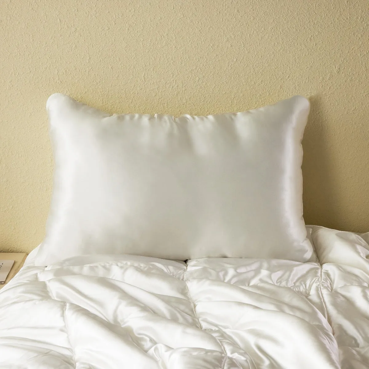 Slip-In Hydrating Mulberry Silk Pillowcase