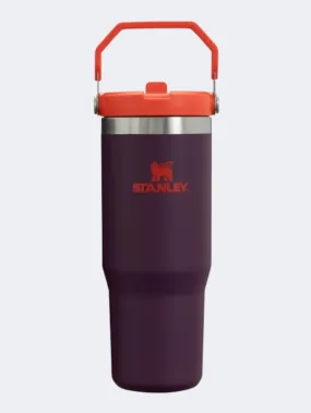 Stanley Ice Flow Flip 30 Oz Lifestyle Tumbler Plum