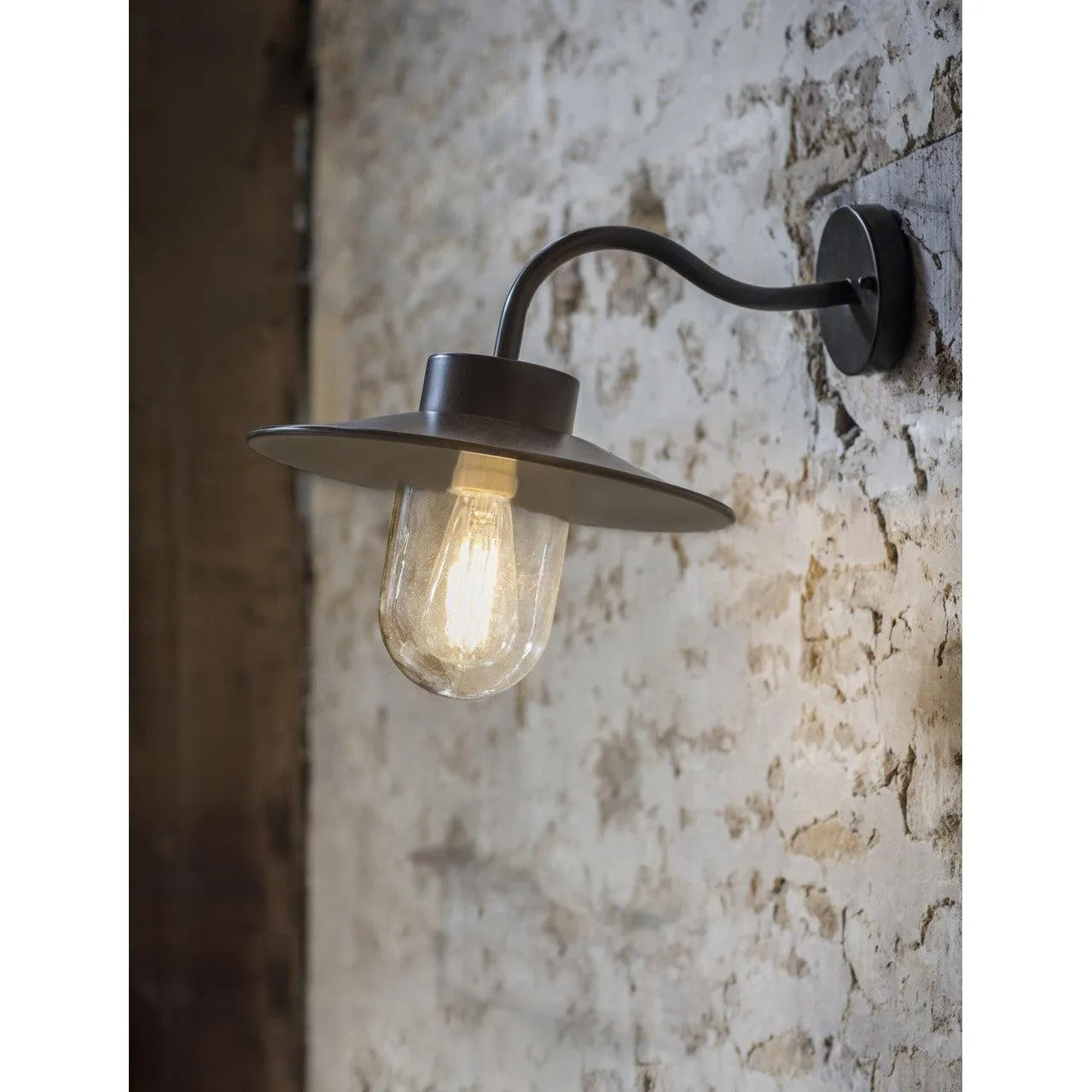 Swan Neck Light in Carbon - Steel