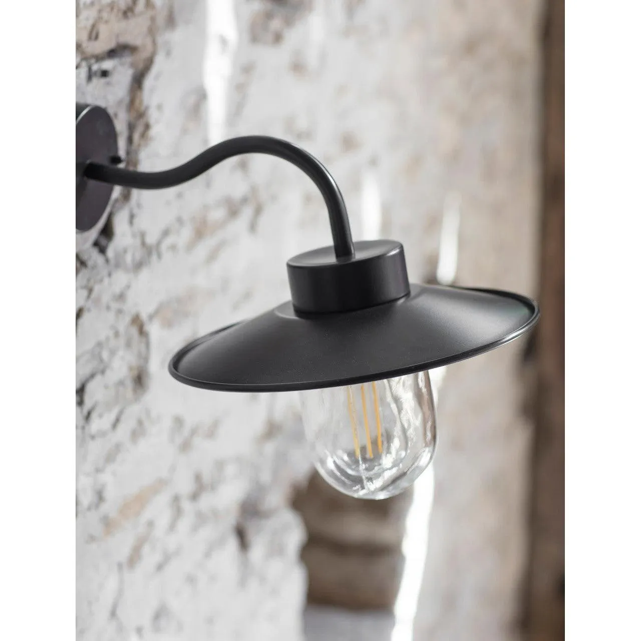 Swan Neck Light in Carbon - Steel