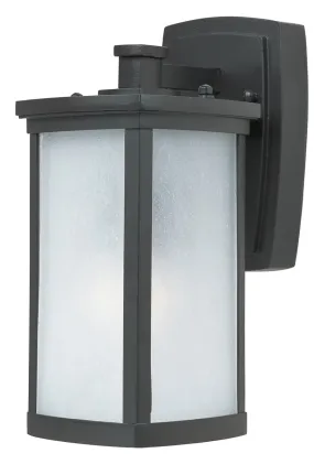 Terrace 1-Light Small Outdoor Wall Lantern in Bronze