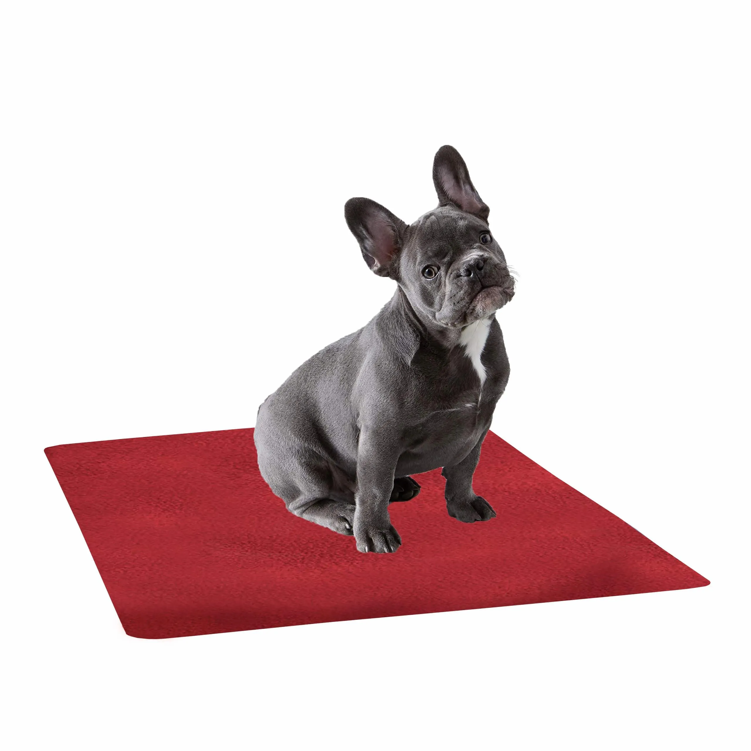 Waterproof Pet Training Puppy Pad (Small)