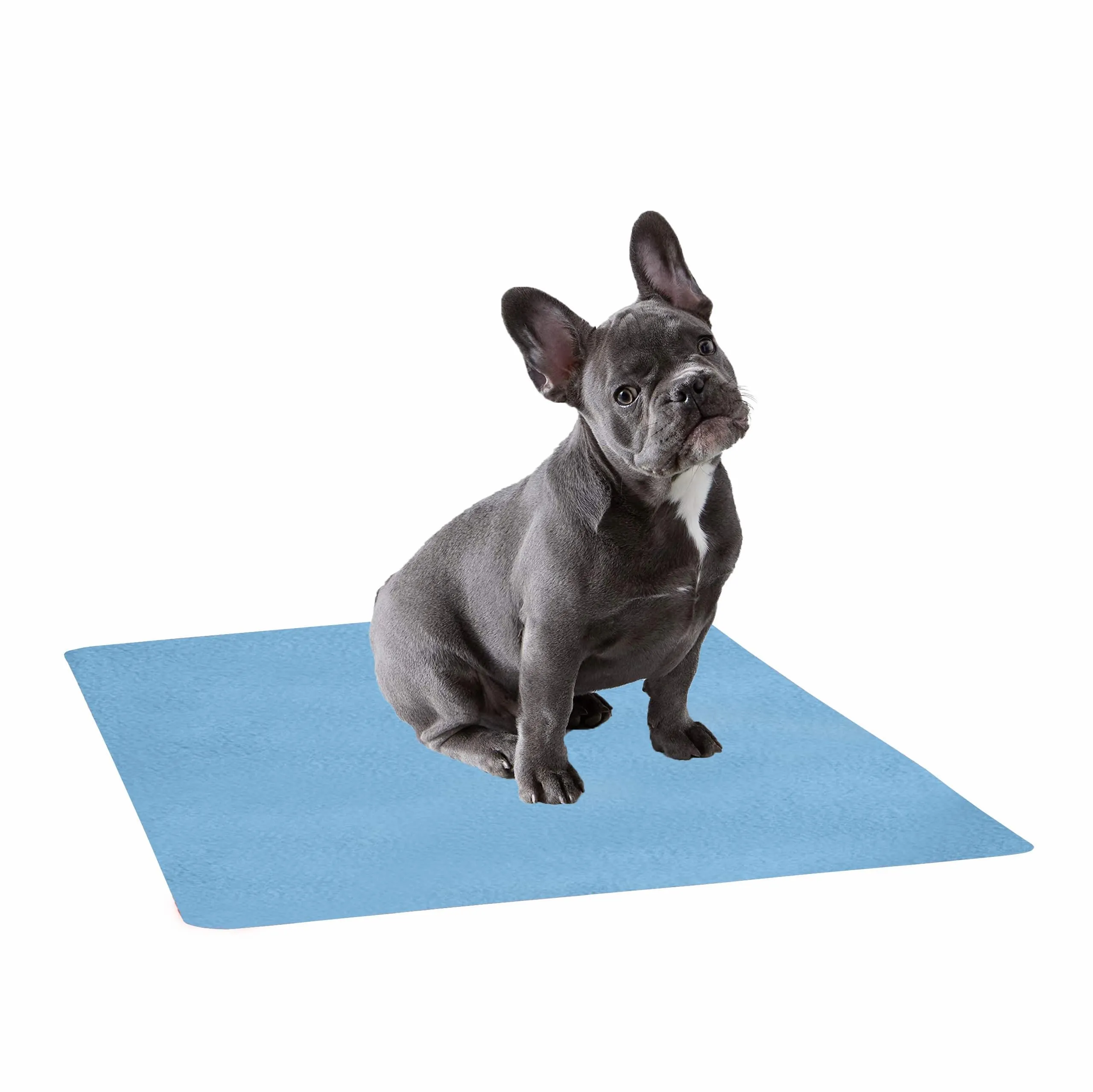 Waterproof Pet Training Puppy Pad (Small)