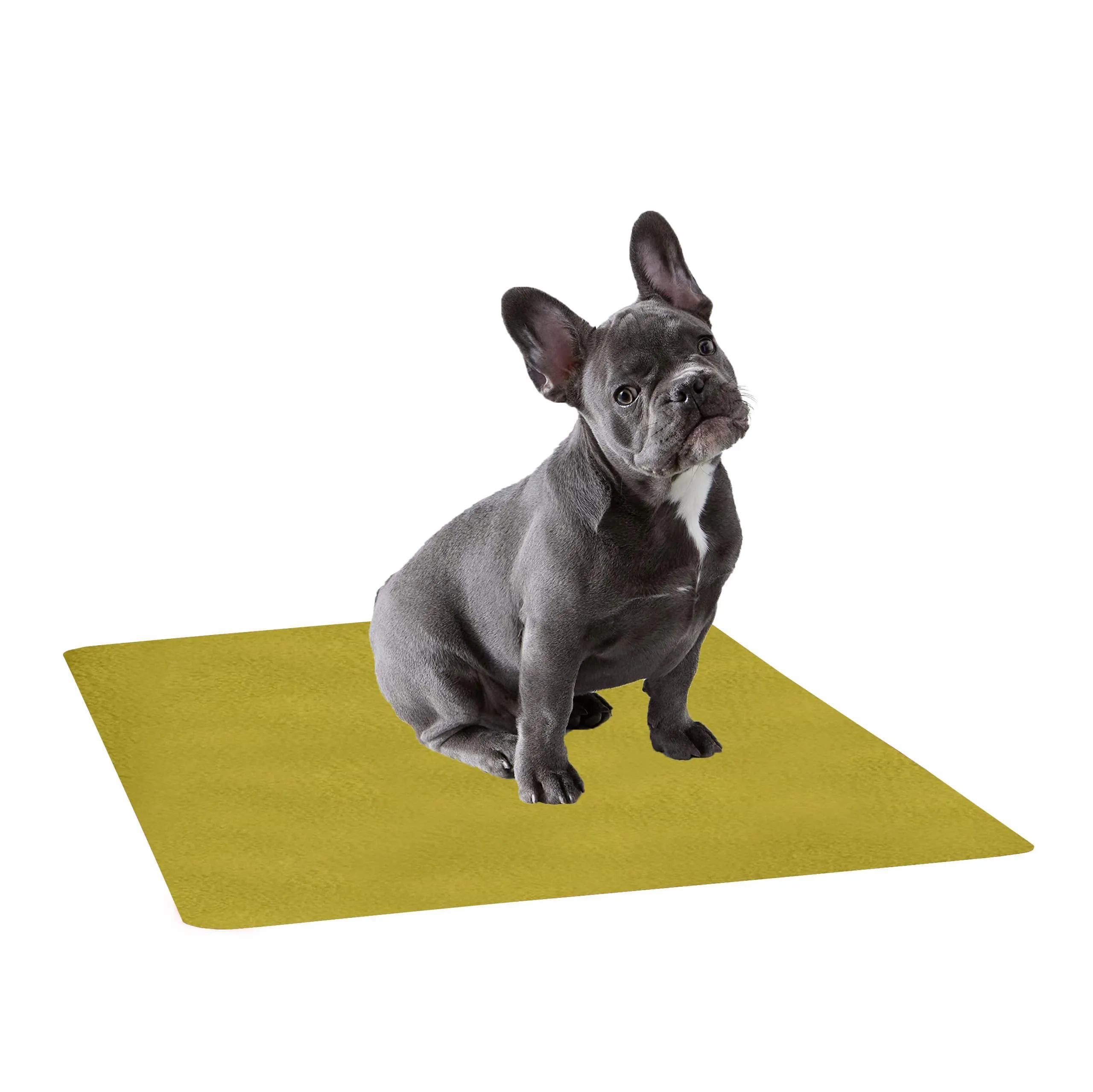 Waterproof Pet Training Puppy Pad (Small)