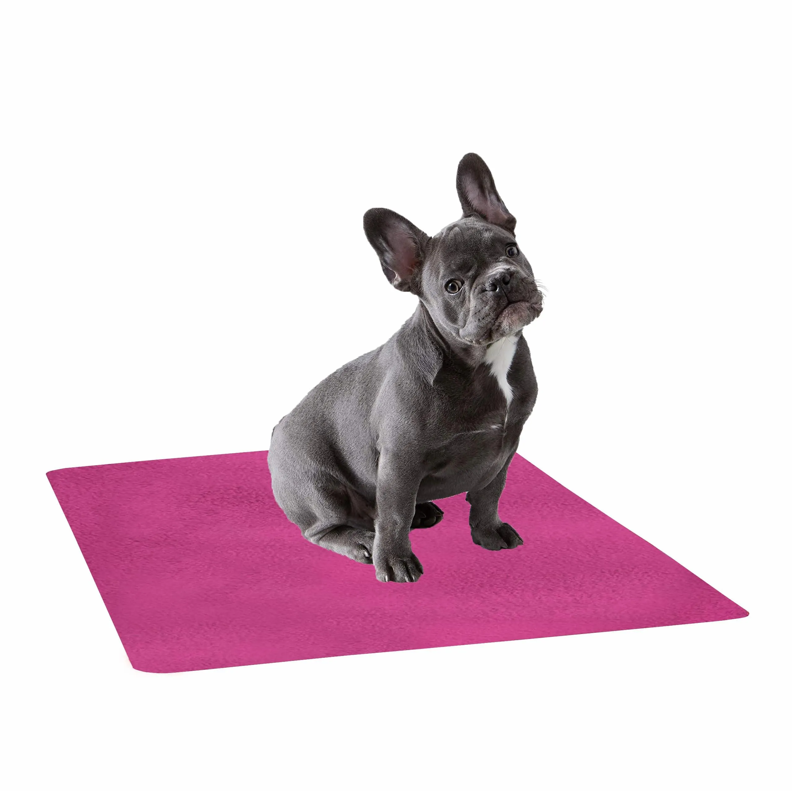 Waterproof Pet Training Puppy Pad (Small)