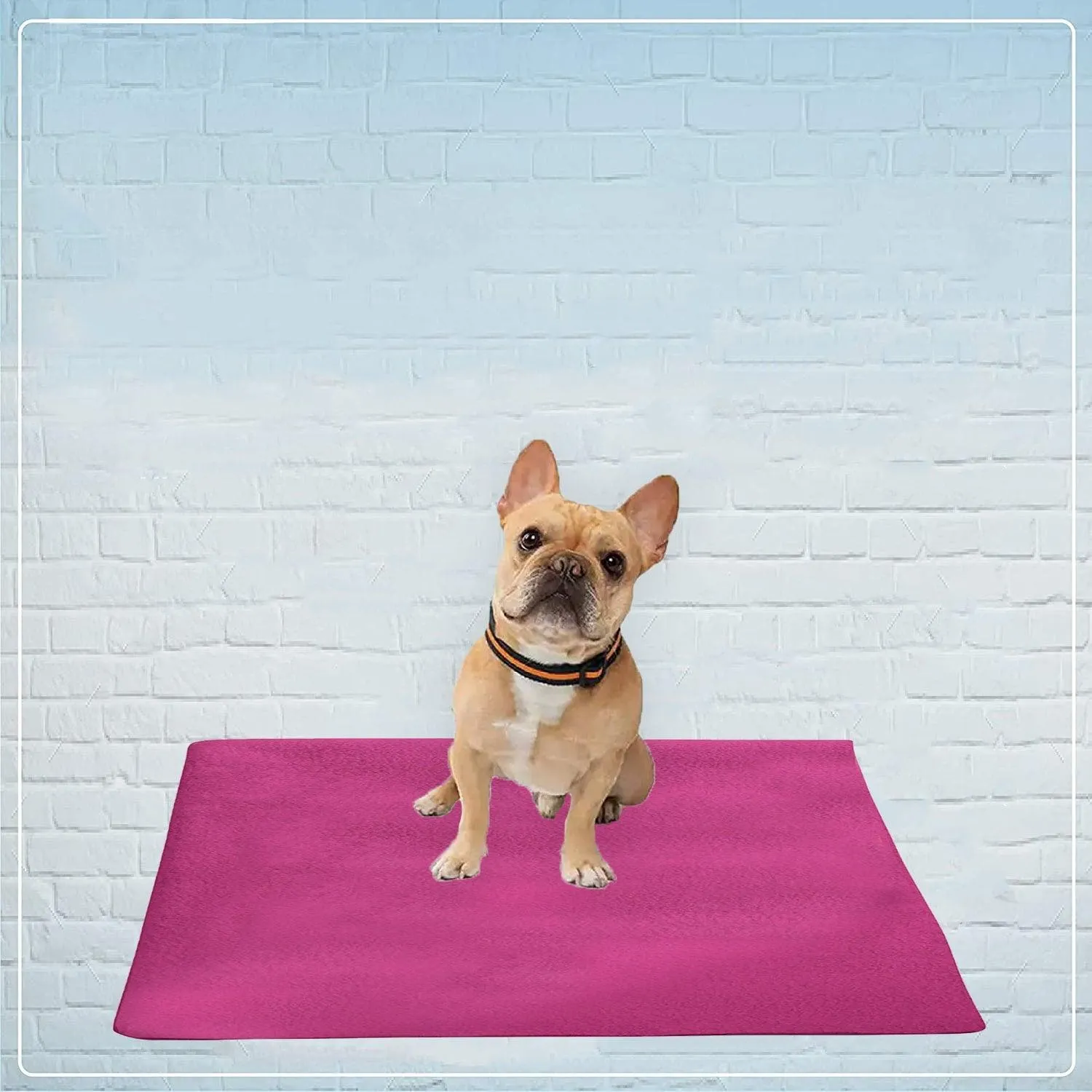 Waterproof Pet Training Puppy Pad (Small)